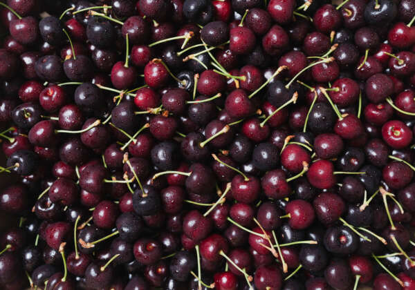 cherries (1 of 1)-14 (1)
